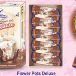 Flower pots Deluxe( 5piece) — Flower Pots by Sadhana Crackers