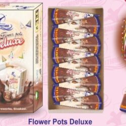 Flower pots Deluxe( 5piece) — Flower Pots by Sadhana Crackers