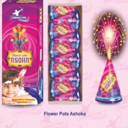 Flower pots Asoka — Flower Pots by Sadhana Crackers