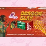 Dragon Slay (5 magic) — Fountain items by Sadhana Crackers