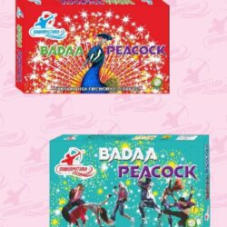 bada peacock