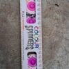 Colour Spinner — Chakkars by Sadhana Crackers